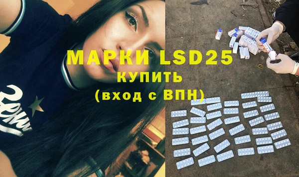 молекула духа Богданович
