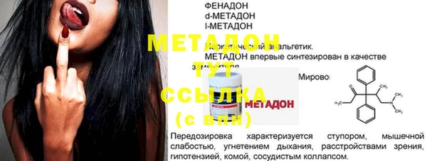 молекула духа Богданович