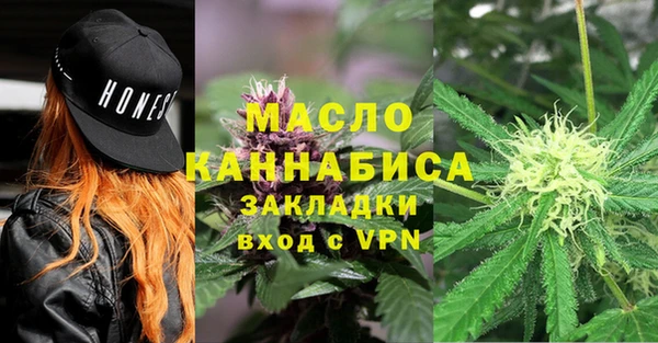 молекула духа Богданович