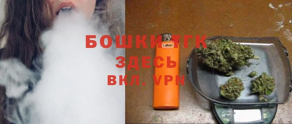 стафф Богородицк