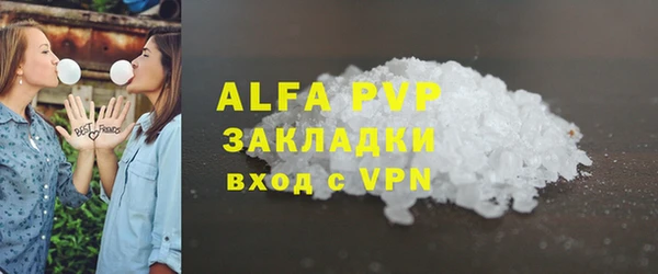 молекула духа Богданович
