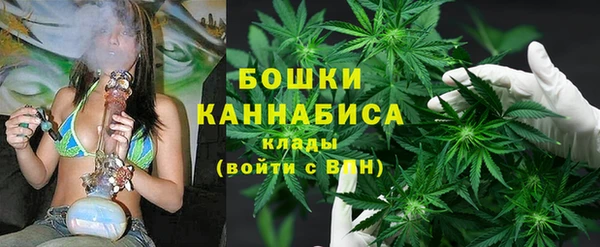 молекула духа Богданович