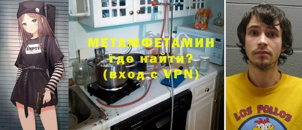 молекула духа Богданович