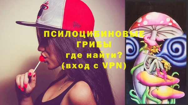 стафф Богородицк