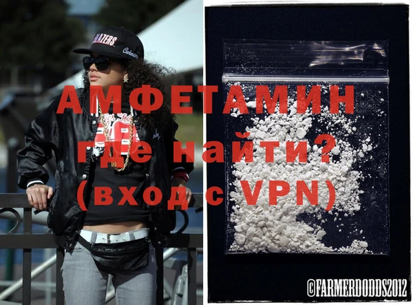 молекула духа Богданович