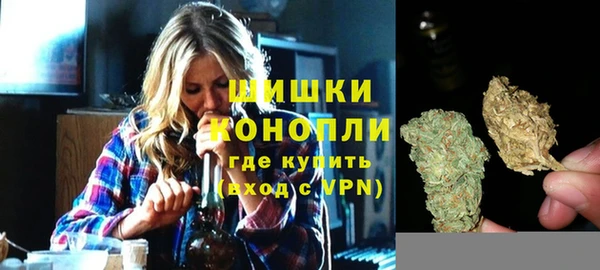 стафф Богородицк