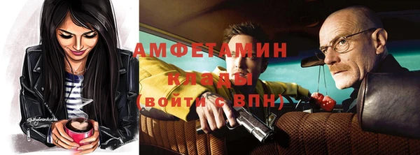 молекула духа Богданович
