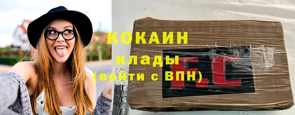 молекула духа Богданович