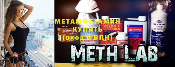 молекула духа Богданович