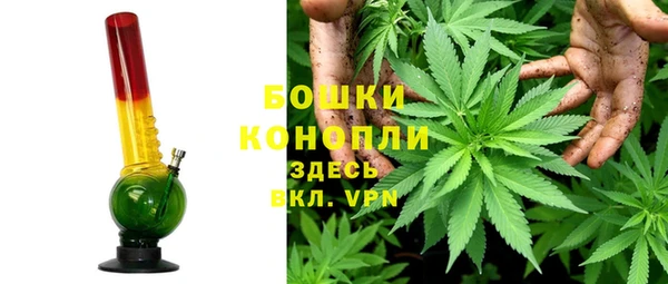 молекула духа Богданович